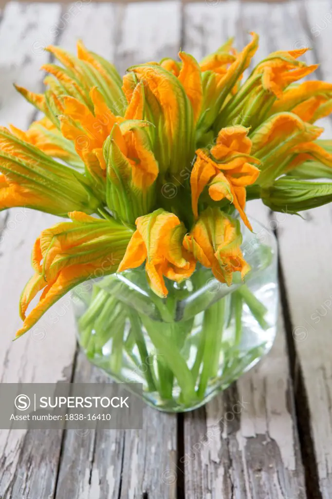 Zucchini Blossoms in Vase