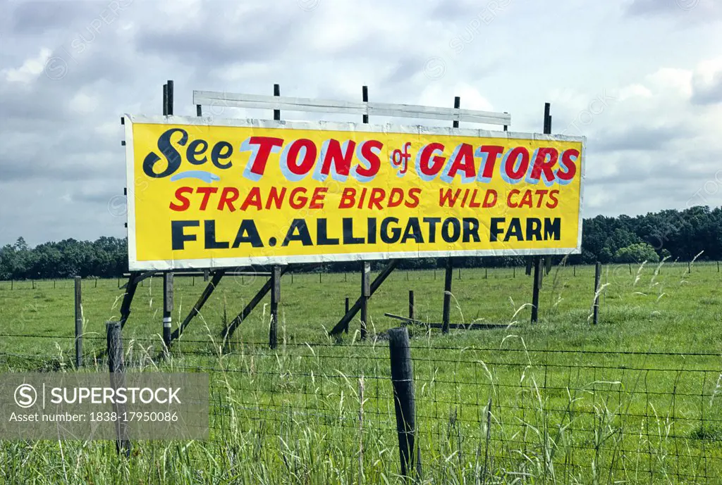 Billboard, Florida Alligator Farm, Route 301, Florida, USA, John Margolies Roadside America Photograph Archive, 1979