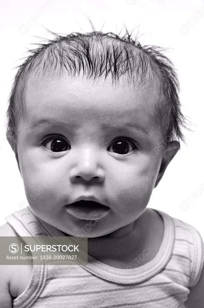 Infant Boy Portrait
