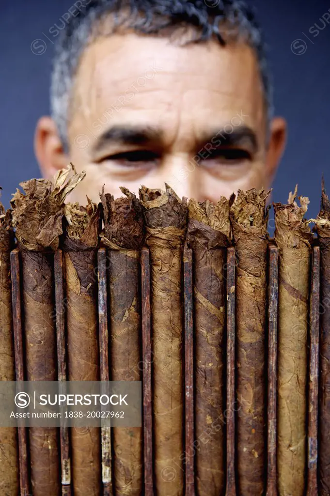 Cigar Maker Behind Cigars, Close-Up Portrait