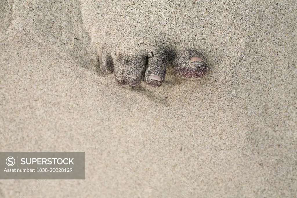 Toes Covered in Sand, Close-Up