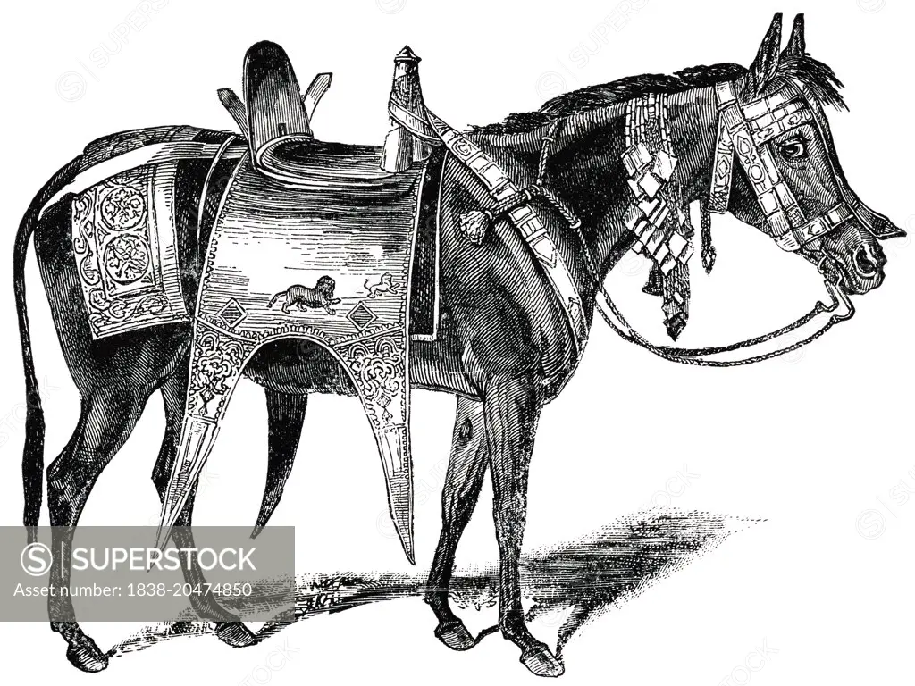 Decorated Abyssinian Horse, Africa, "Classical Portfolio of Primitive Carriers", by Marshall M. Kirman, World Railway Publ. Co., Illustration, 1895