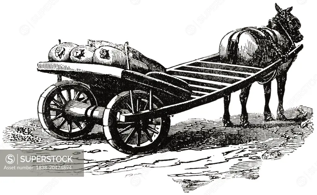 Horse-Drawn Yarmouth Cart, England, "Classical Portfolio of Primitive Carriers", by Marshall M. Kirman, World Railway Publ. Co., Illustration, 1895