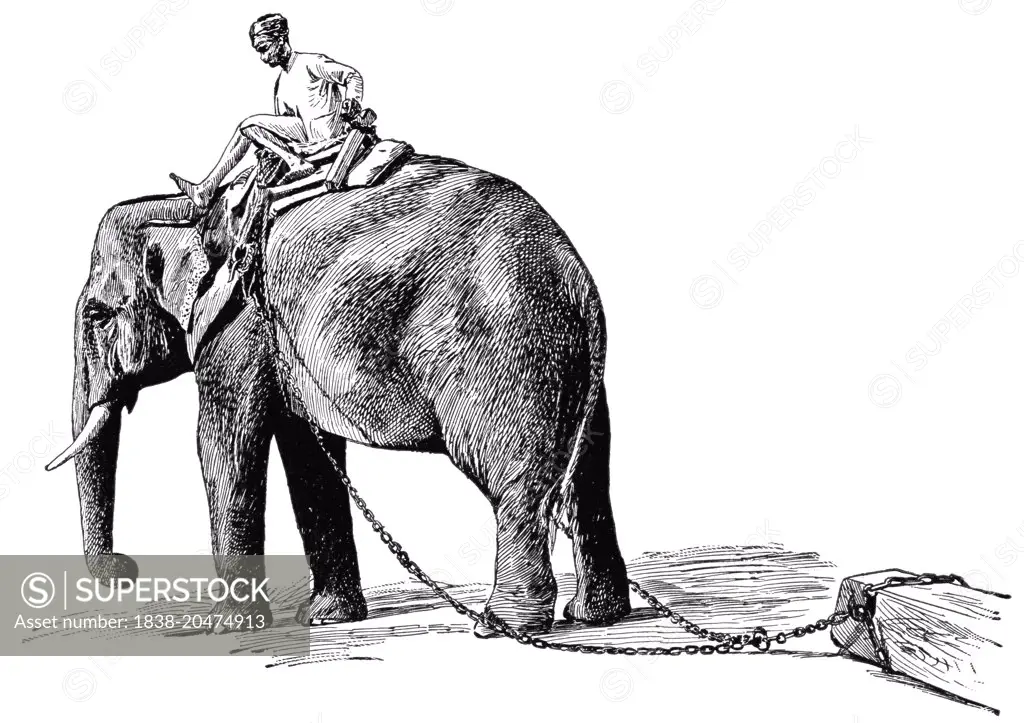 Elephant Pulling Timber, Rangoon, Burma, "Classical Portfolio of Primitive Carriers", by Marshall M. Kirman, World Railway Publ. Co., Illustration, 1895