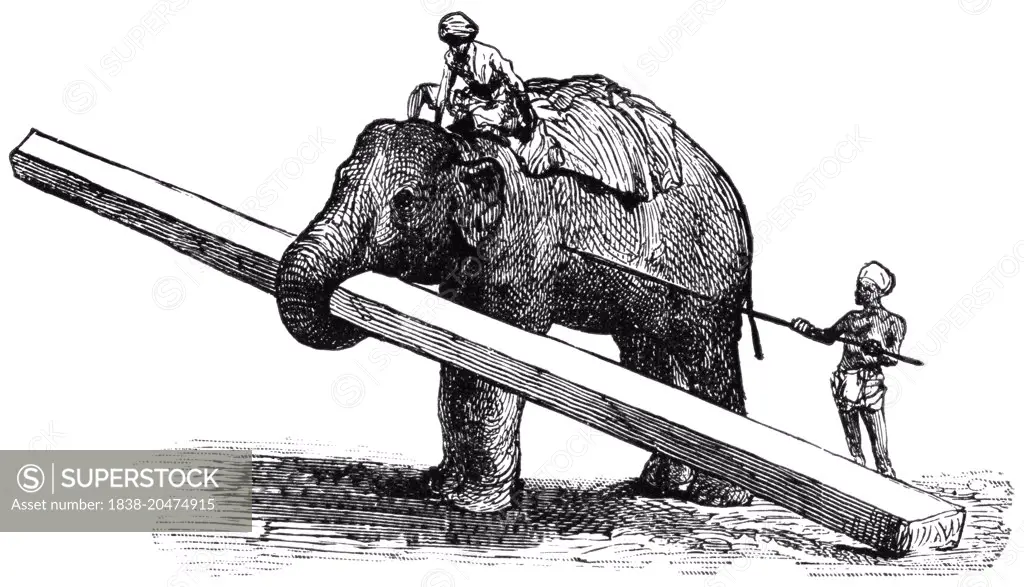 Elephant Carrying Timber, Rangoon, Burma, "Classical Portfolio of Primitive Carriers", by Marshall M. Kirman, World Railway Publ. Co., Illustration, 1895