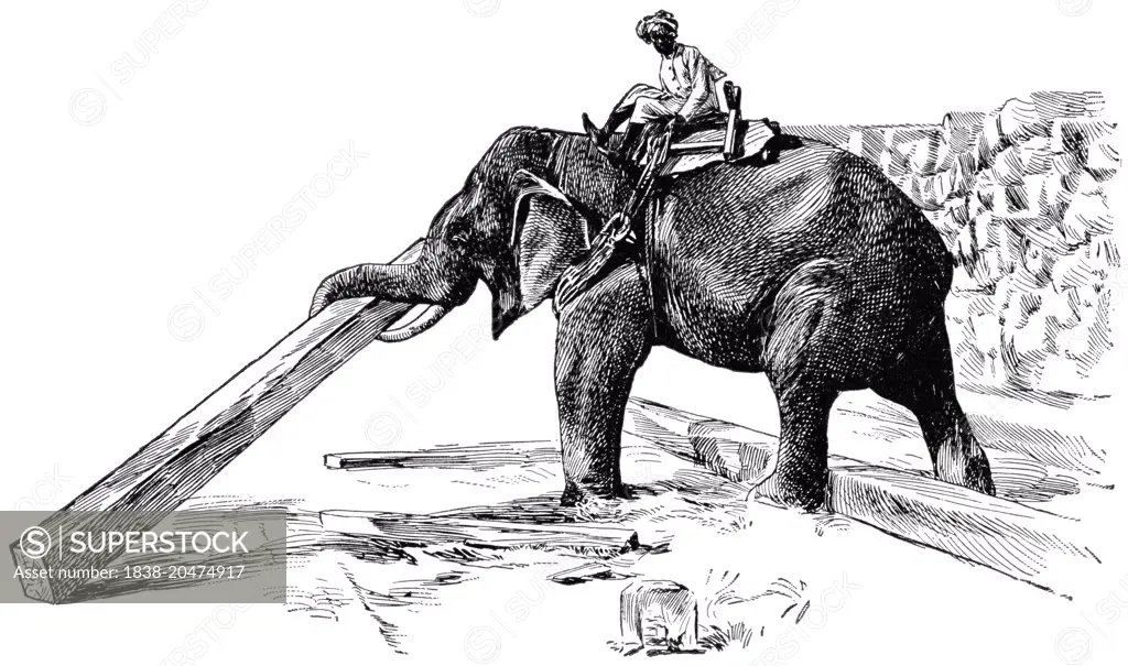 Elephant Raising Timber, Rangoon, Burma, "Classical Portfolio of Primitive Carriers", by Marshall M. Kirman, World Railway Publ. Co., Illustration, 1895