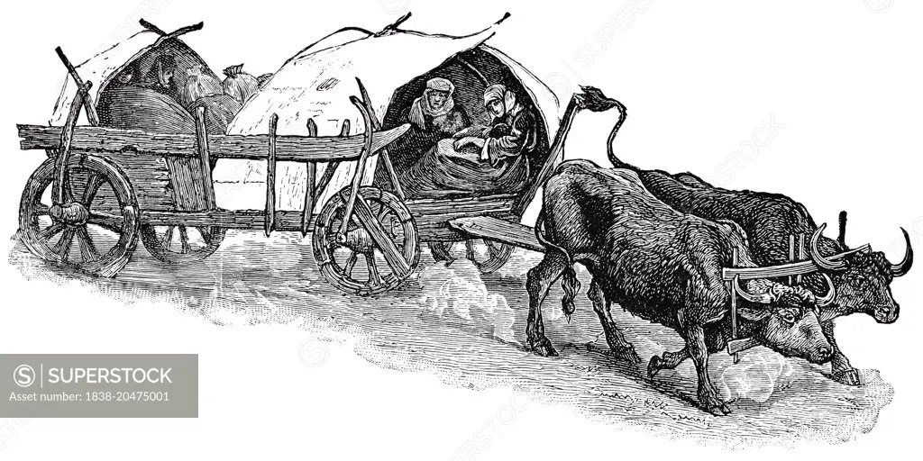 Bulgarian Peasants in Ox-Driven Wagon, "Classical Portfolio of Primitive Carriers", by Marshall M. Kirman, World Railway Publ. Co., Illustration, 1895