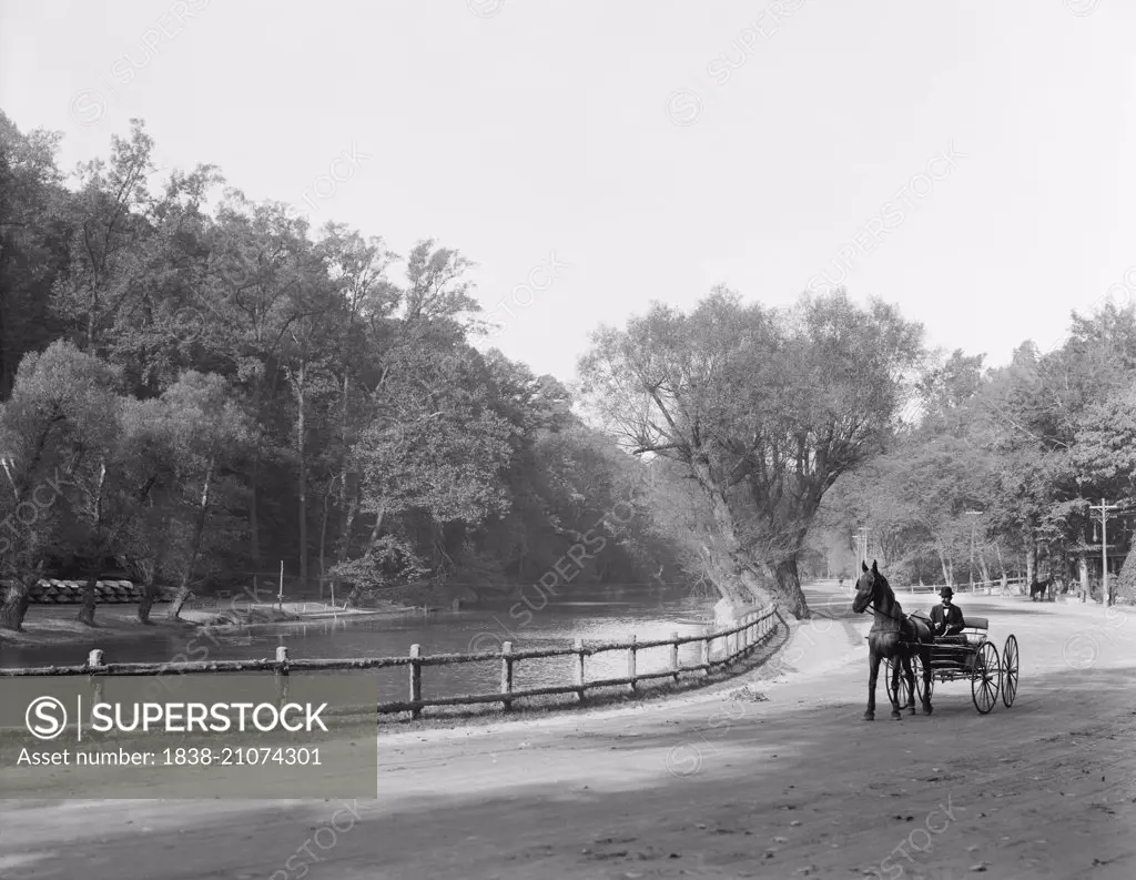 Horse and Buggy along Wissahickon Creek and Drive, Fairmount Park, Philadelphia, Pennsylvania, USA, circa 1908