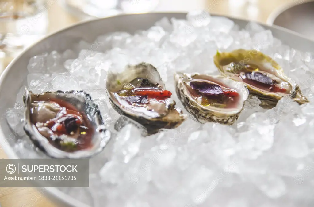 Oysters in Bowl of Ice