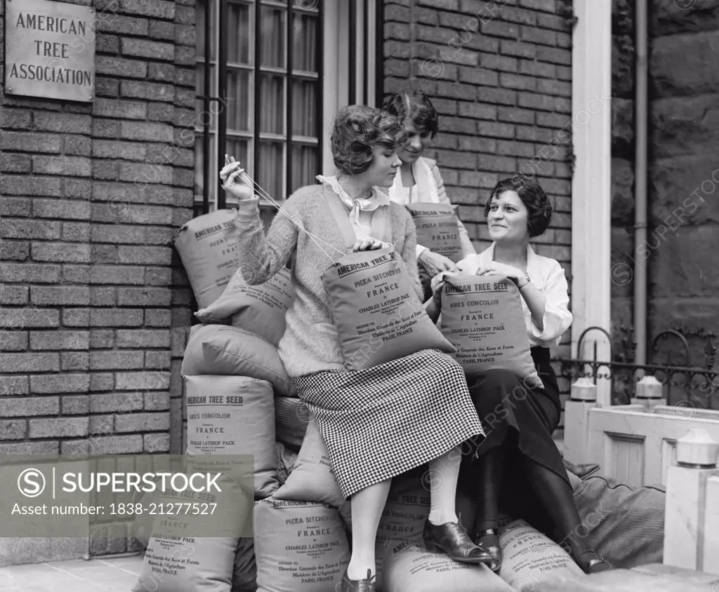 Three Young Women with Sacks of Tree Seed, American Tree Association, Washington DC, USA, National Photo Company, 1923