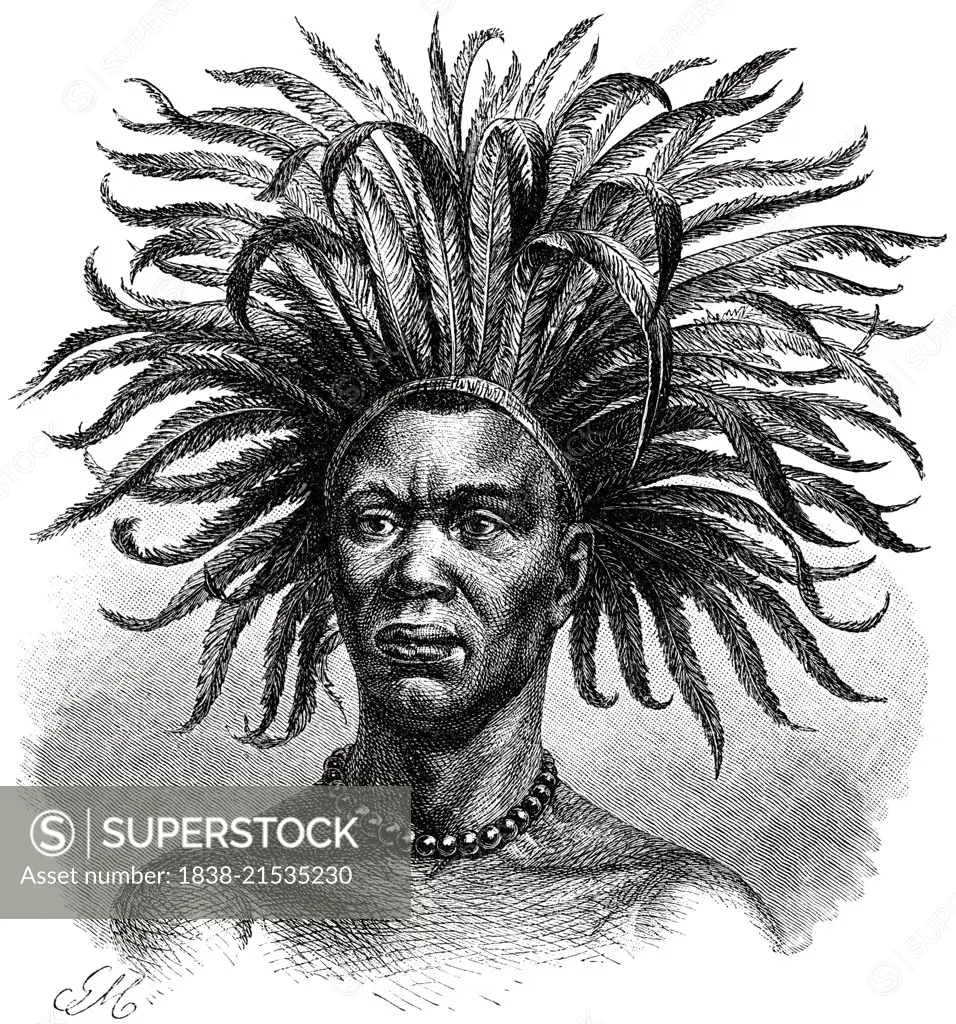 Young Mtuta Man with Feathered Headdress, Africa, Illustration, 1885