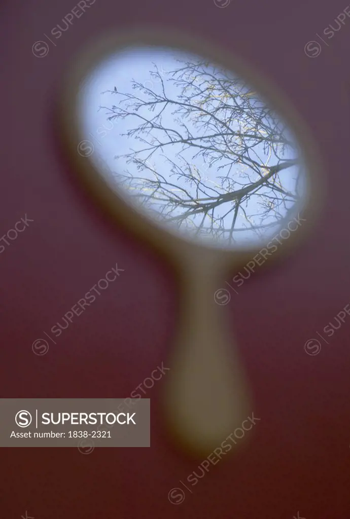 Blurred Mirror with Tree Reflection 
