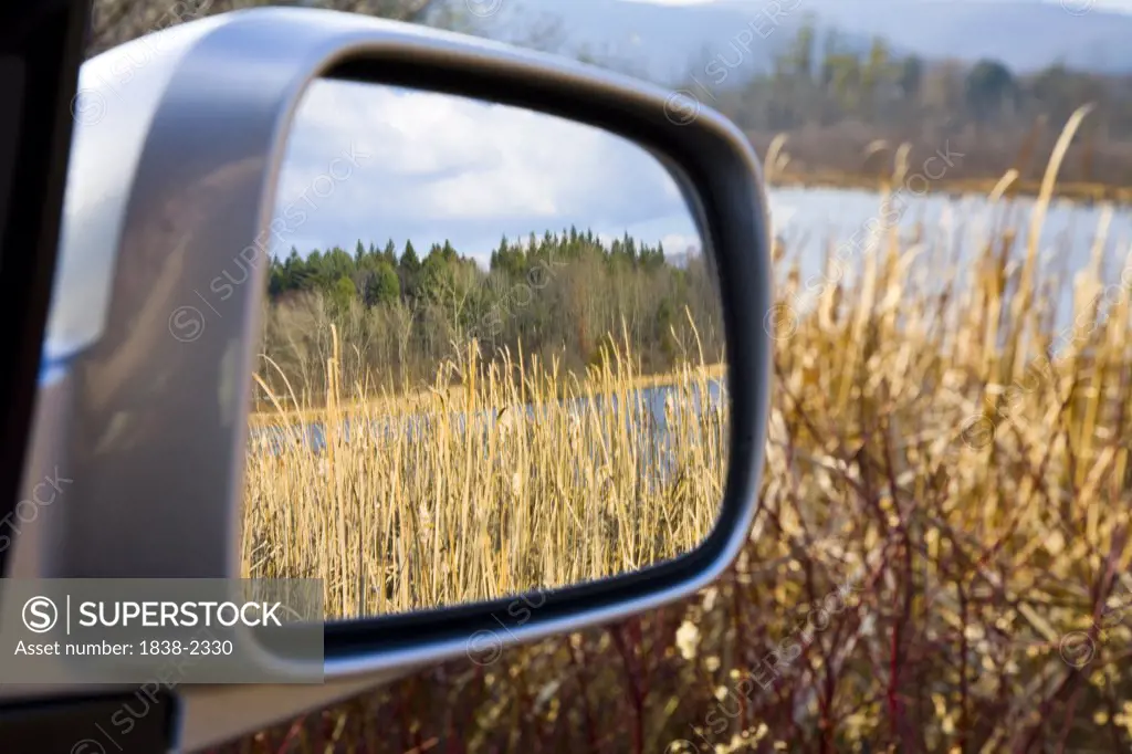 Nature Reflecting in Car Side View Mirror 