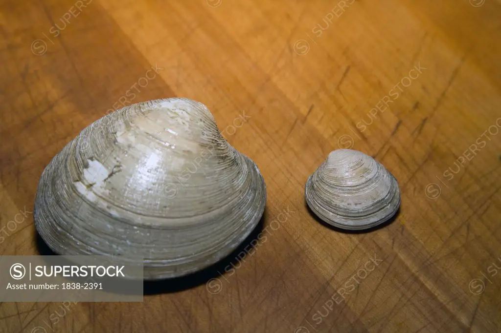 Clams on Wooden Surface