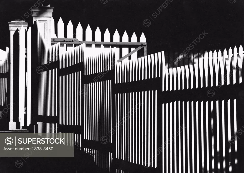 Graphic White Picket Fence