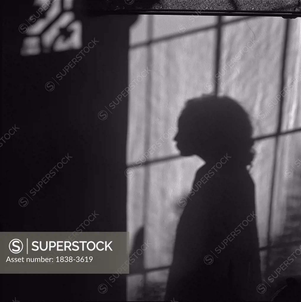 Girl's Shadow & Window