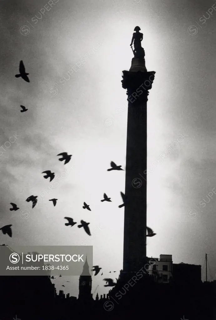 Statue with Birds in Trafalgar Square, London
