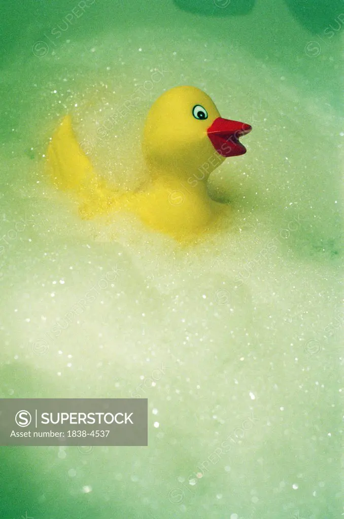 Rubber Duck in Bubble Bath 
