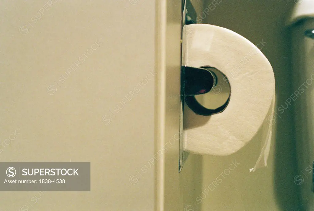 Toilet Paper Roll on Dispenser 