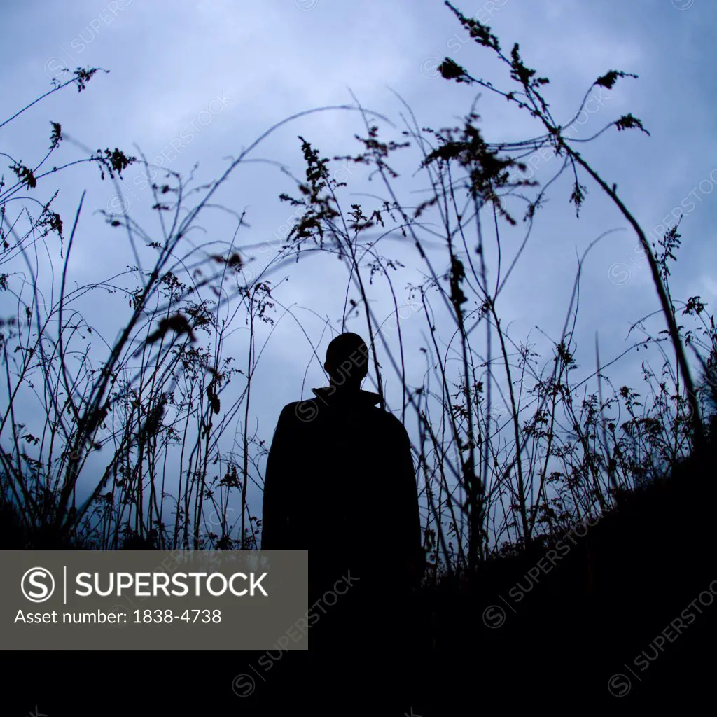 Silhouetted Figure Standing in Dusky Field