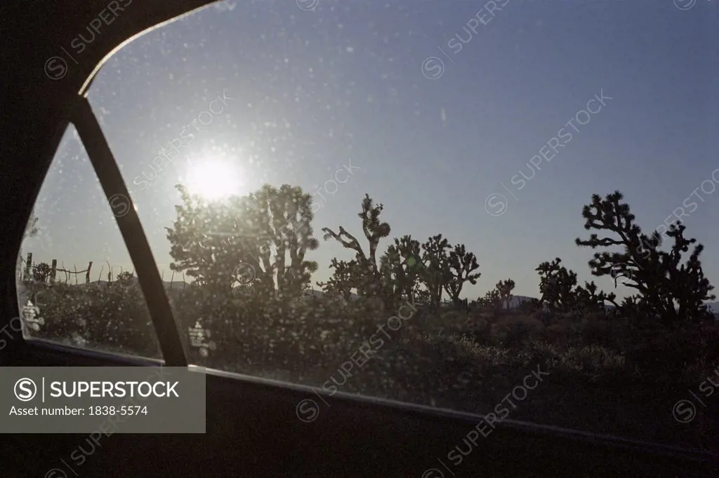 View through a car window on landscape with cactuses, Arizona, USA