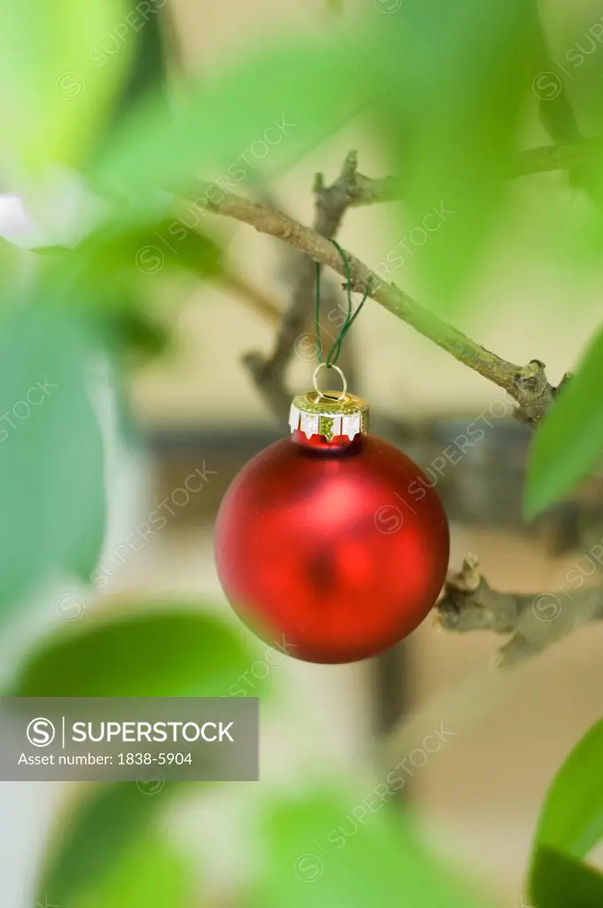 Red Christmas tree ball on a twig