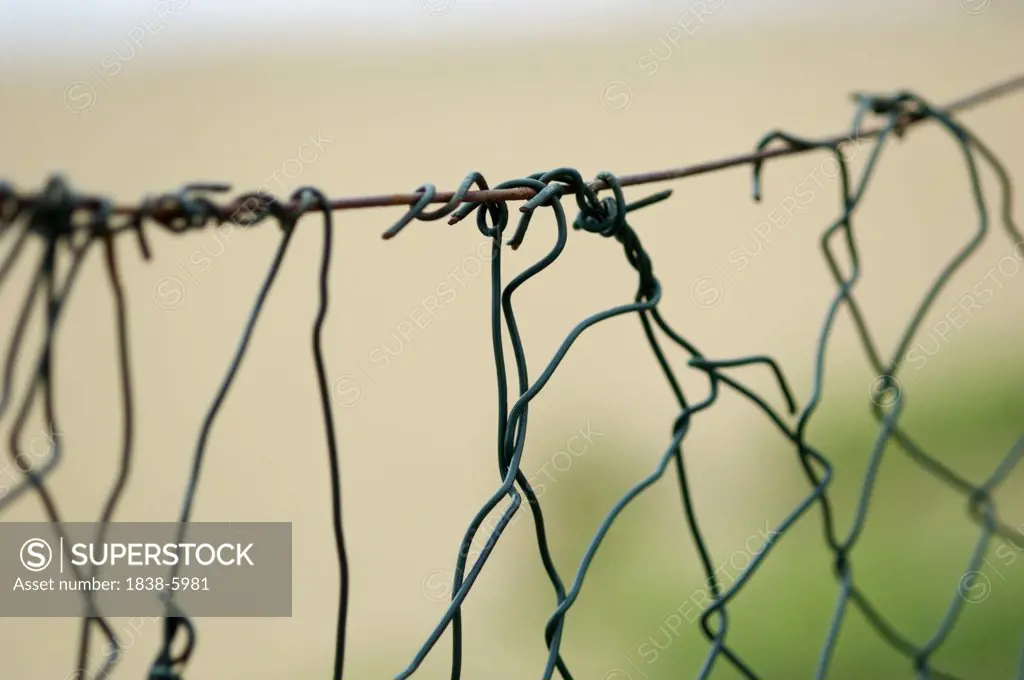 Damaged chain-link fence