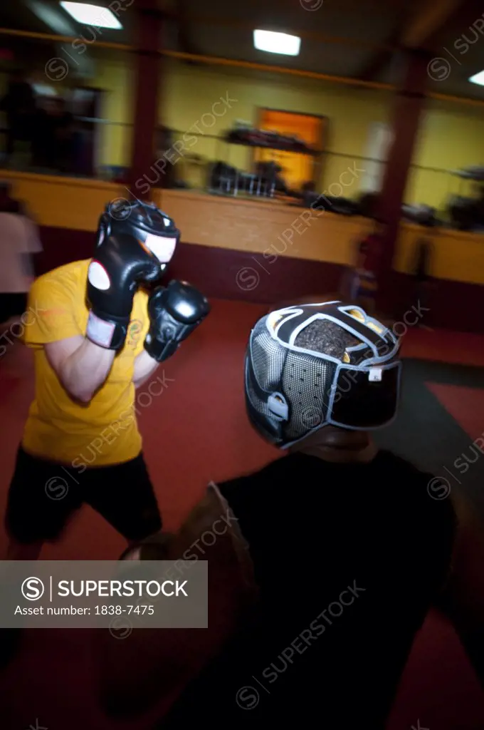 Two Boxers Training