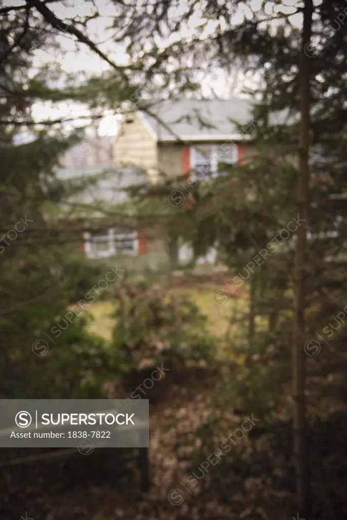 Soft Focus House Behind Trees