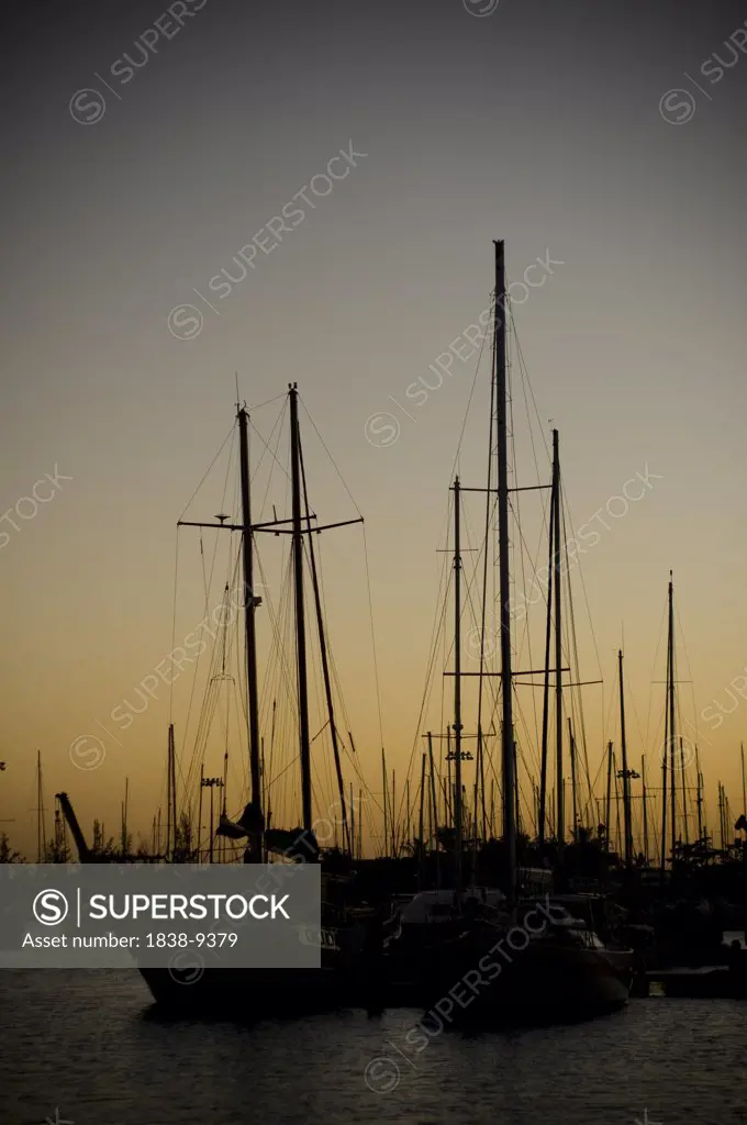 Sailboats in Harbor at Sunset