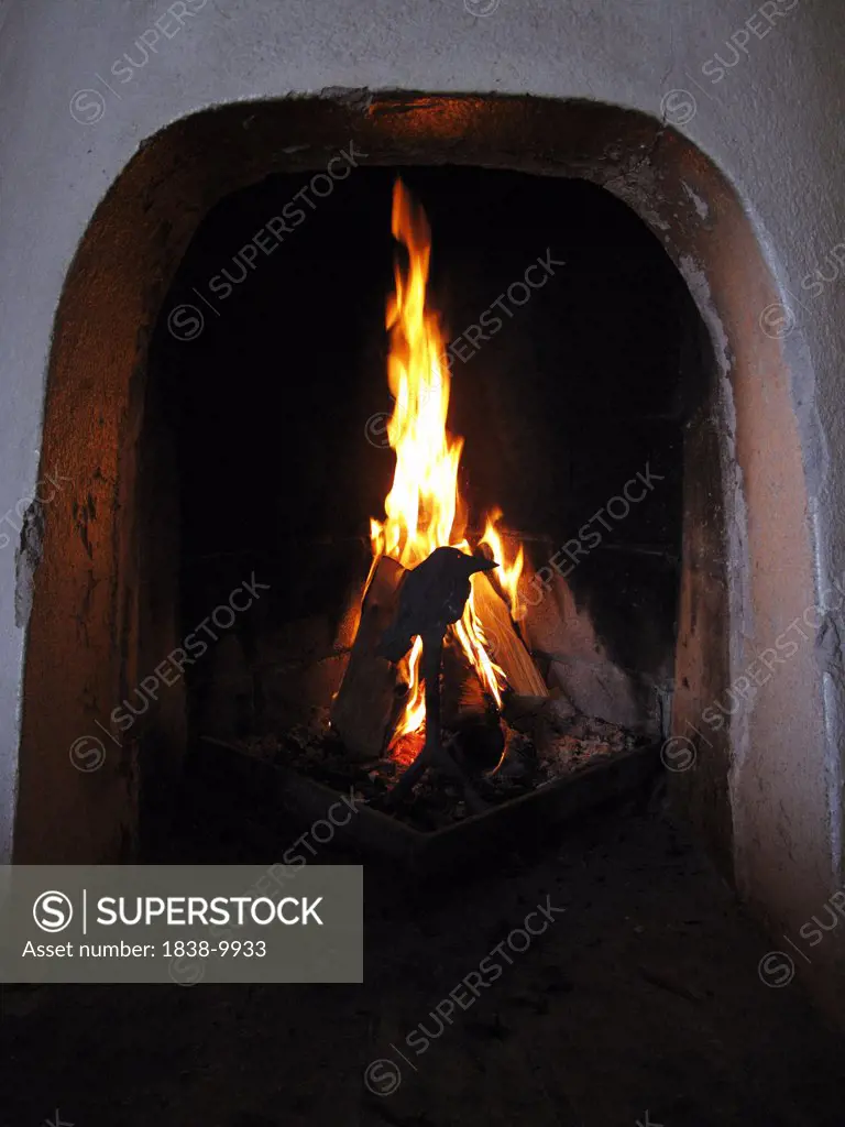 Fireplace and Fire