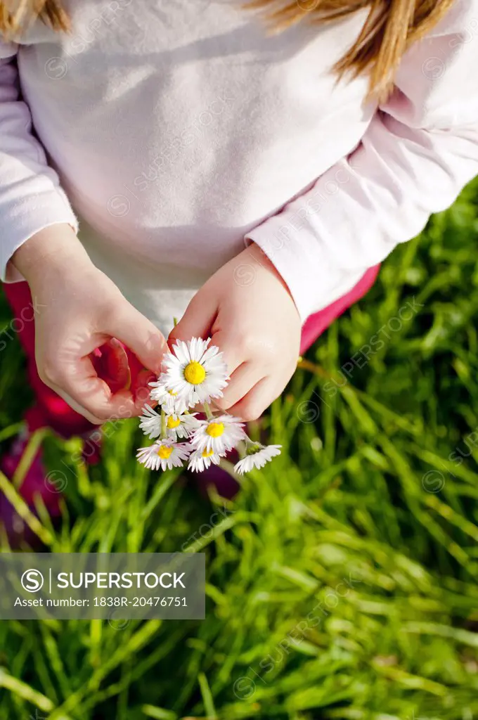 Young Girl Holding Daisies