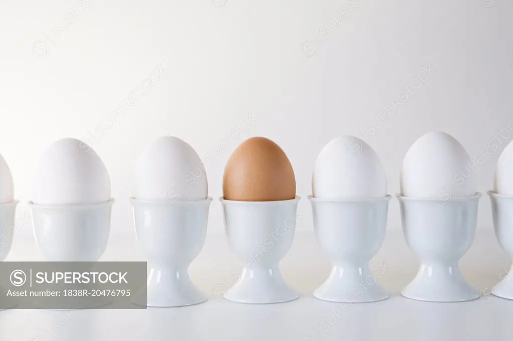 Brown Egg in Row of White Eggs