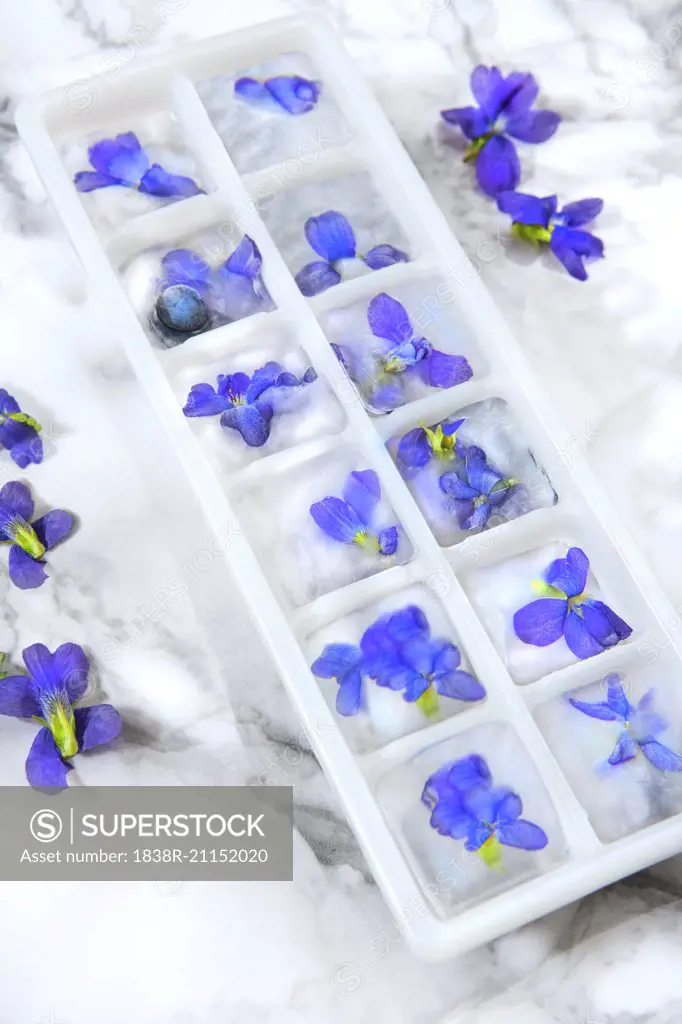 Flower ice cubes
