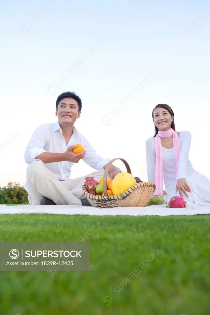 Young couple enjoying a picnic