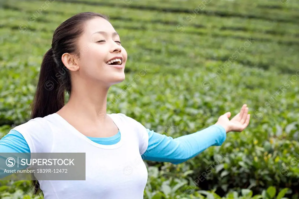Young Woman in a Tea Field