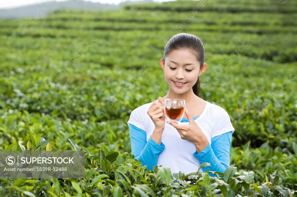 Young Woman Drinking Tea in a Tea Field