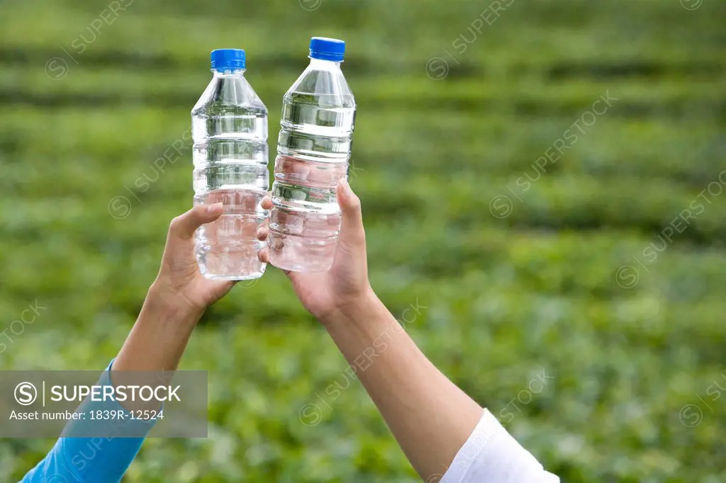 Young Couple Toasting Water Bottles in a Tea Field