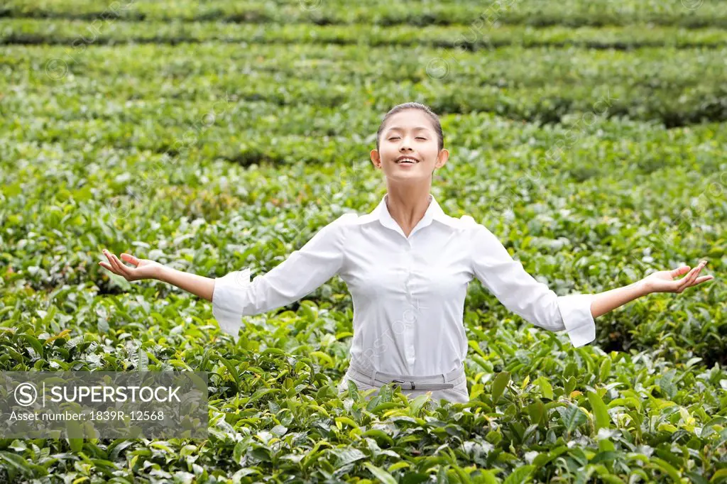 Young Businesswoman Enjoying a Tea Field