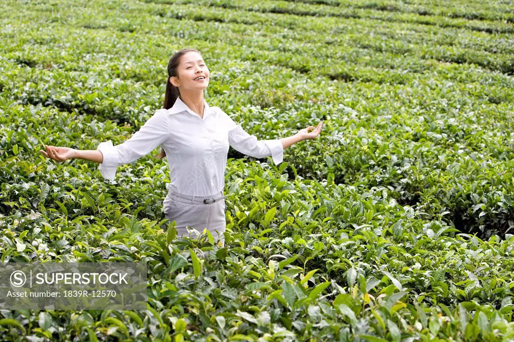 Young Businesswoman Enjoying a Tea Field