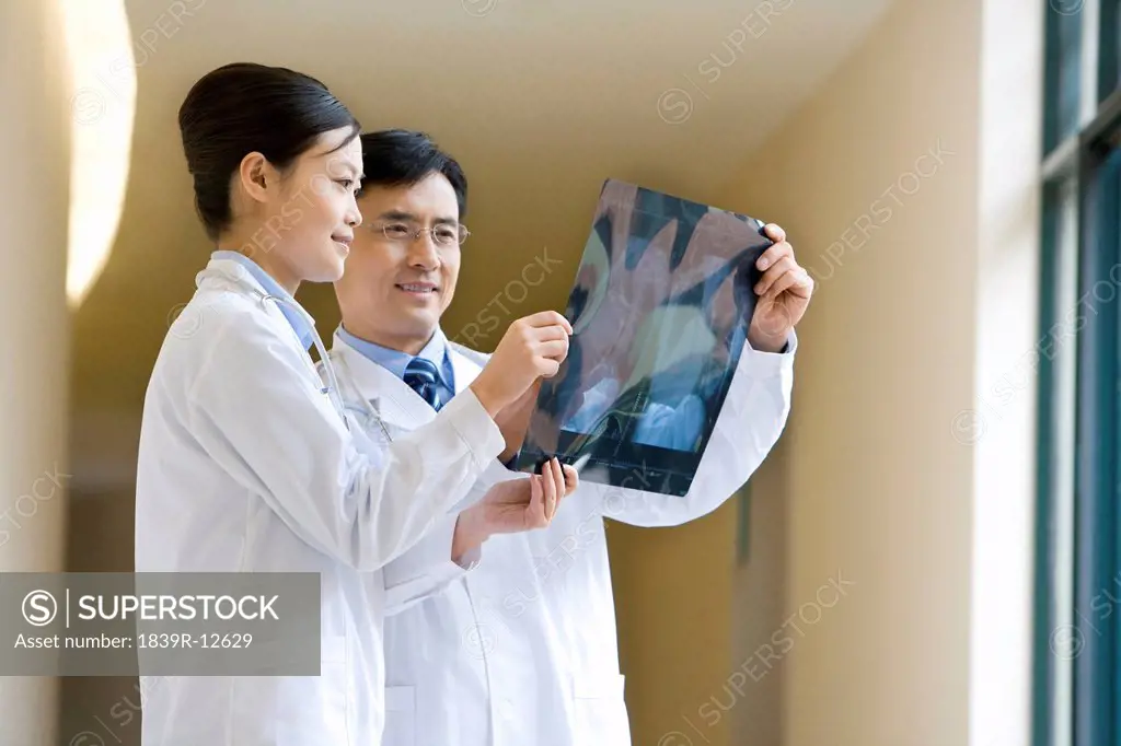 Portrait of doctors at work