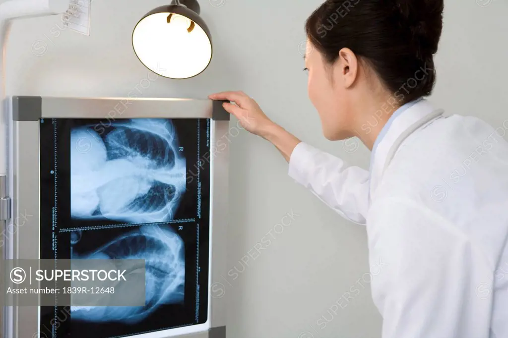 Doctor examining an X_ray