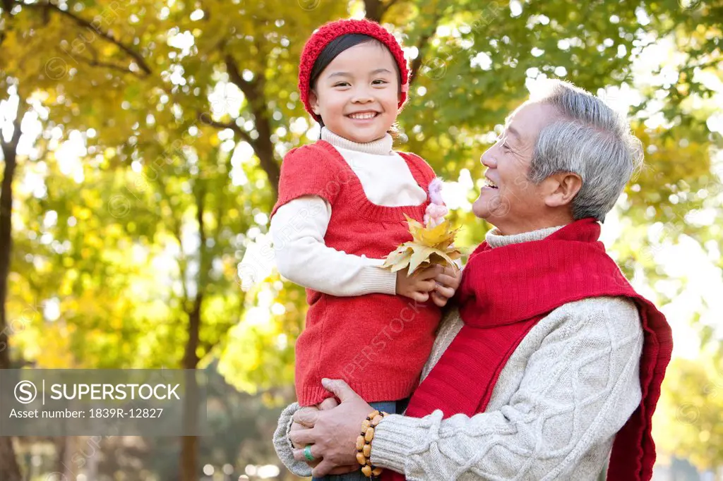Grandfather Holding Granddaughter Holding Maple Leaves