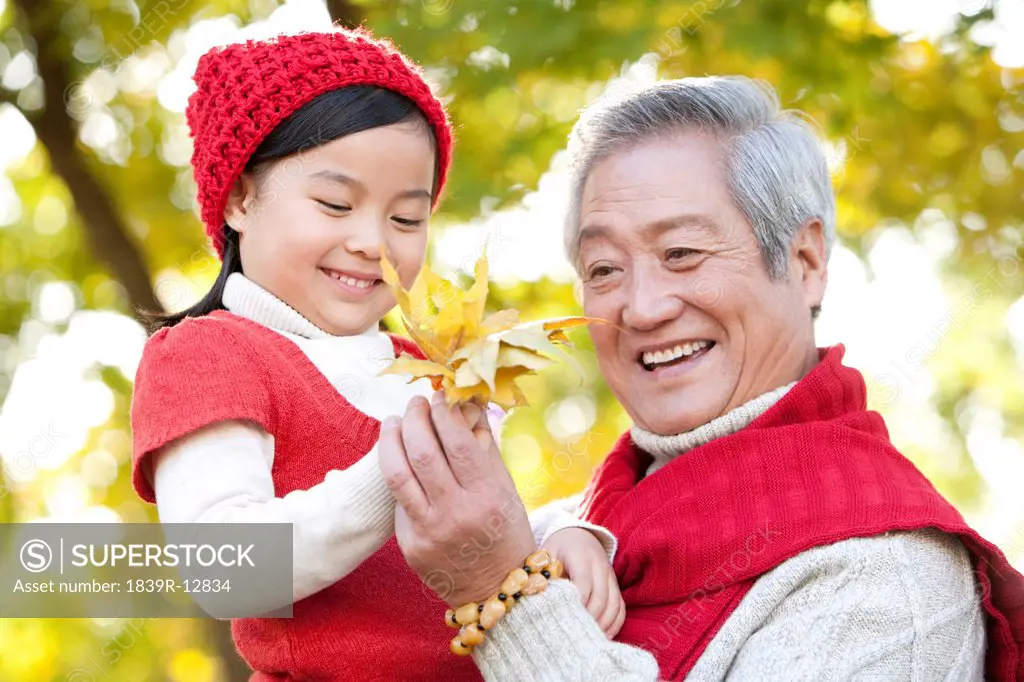 Grandfather and Granddaughter Looking at Maple Leaves
