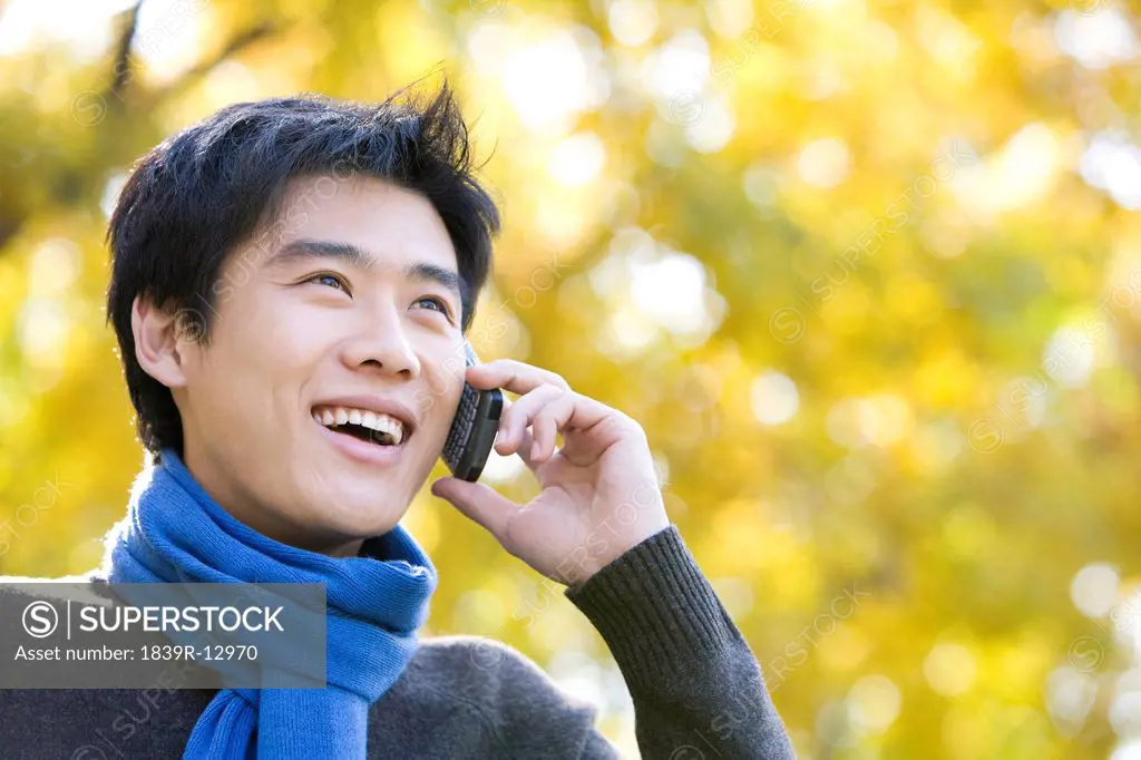Young Man Talking on a Mobile Phone in a Park