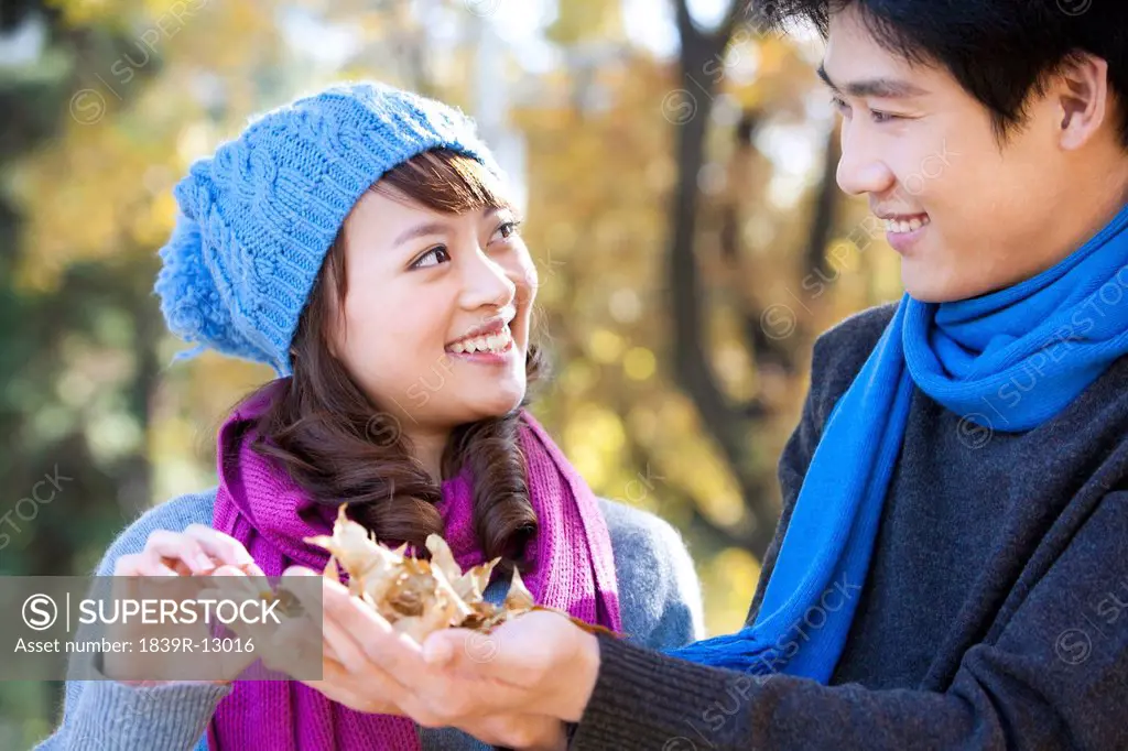 Young Couple in the Park With Maple Leaves