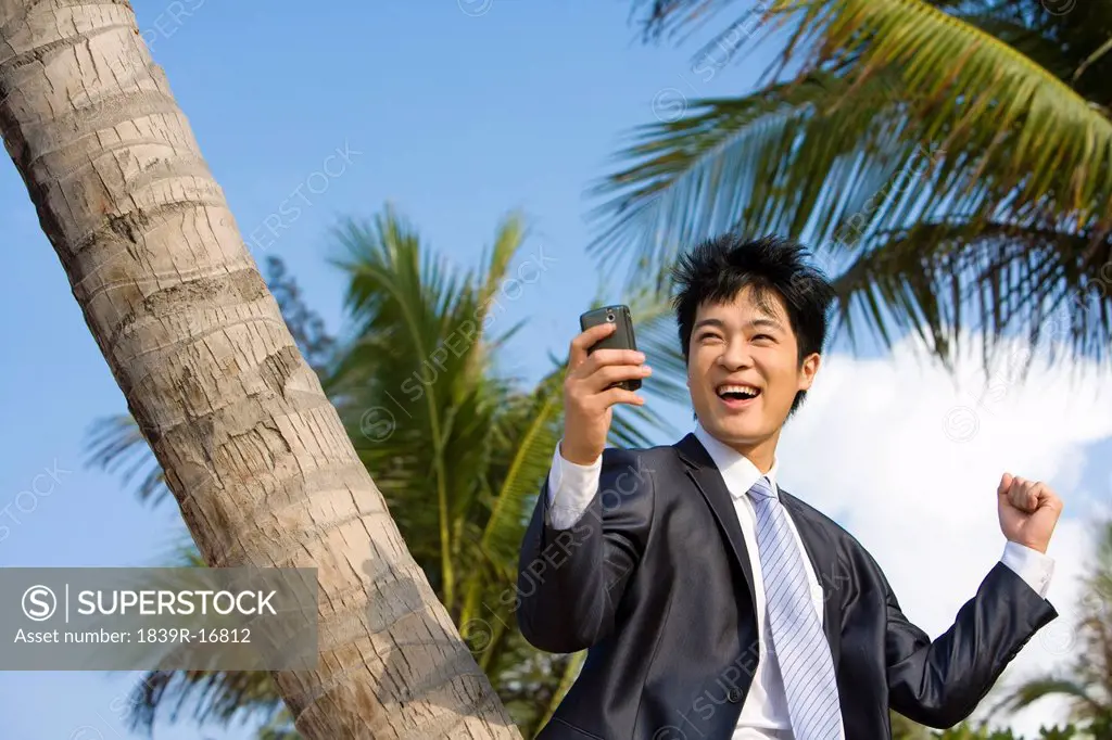 Businessman with his mobile phone on the beach