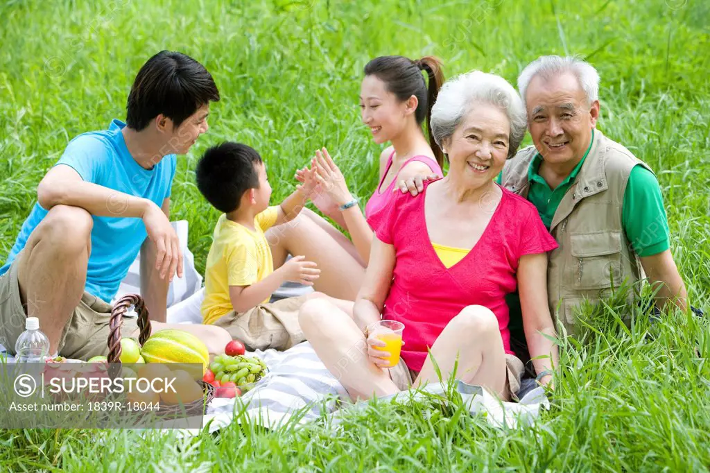 Portrait of a family picnicking