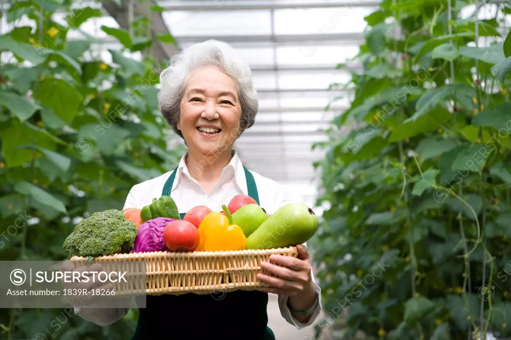 Farmer holding vegetables in modern farm