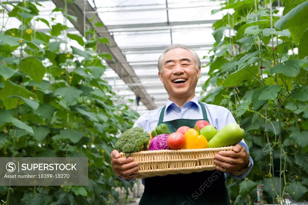 Farmer holding vegetables in modern farm